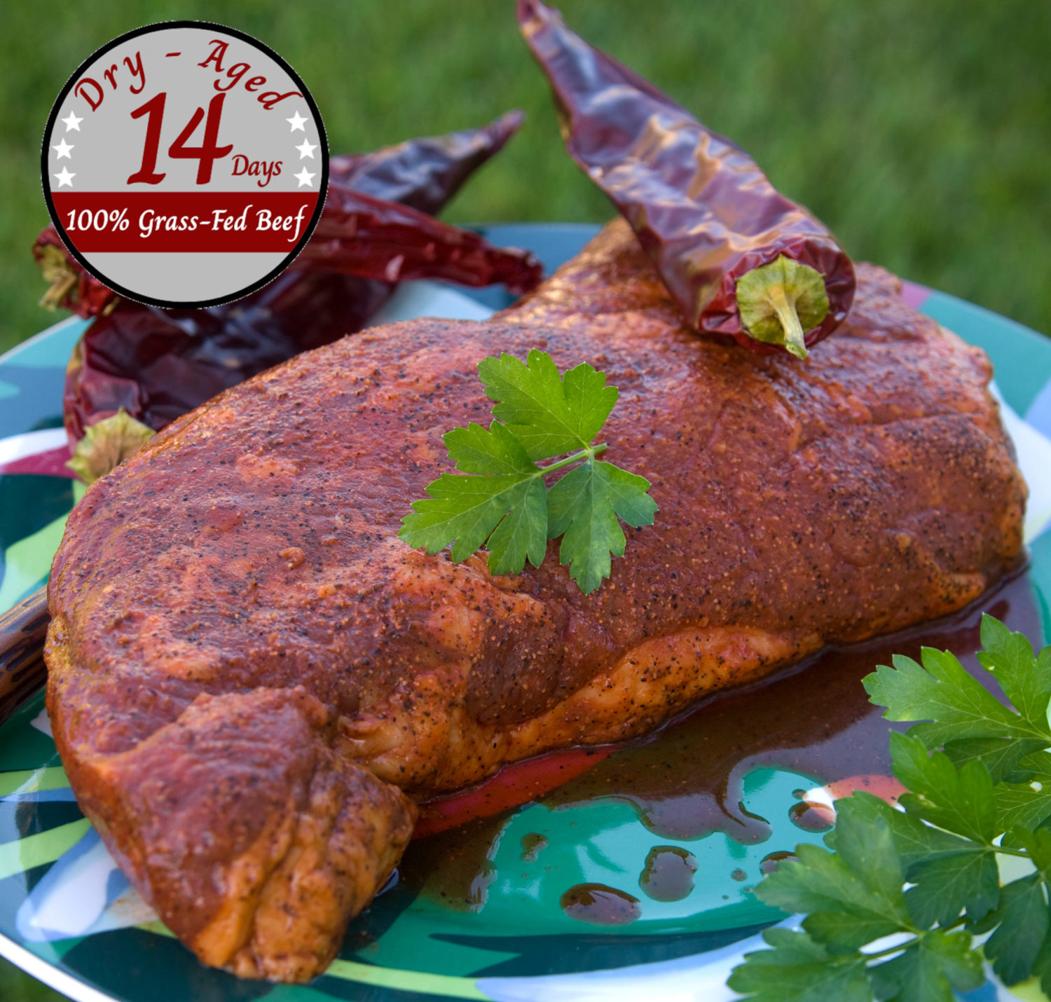 USDA Certified Organic TriTip (Min. 24 oz) Oreganic Beef Co.